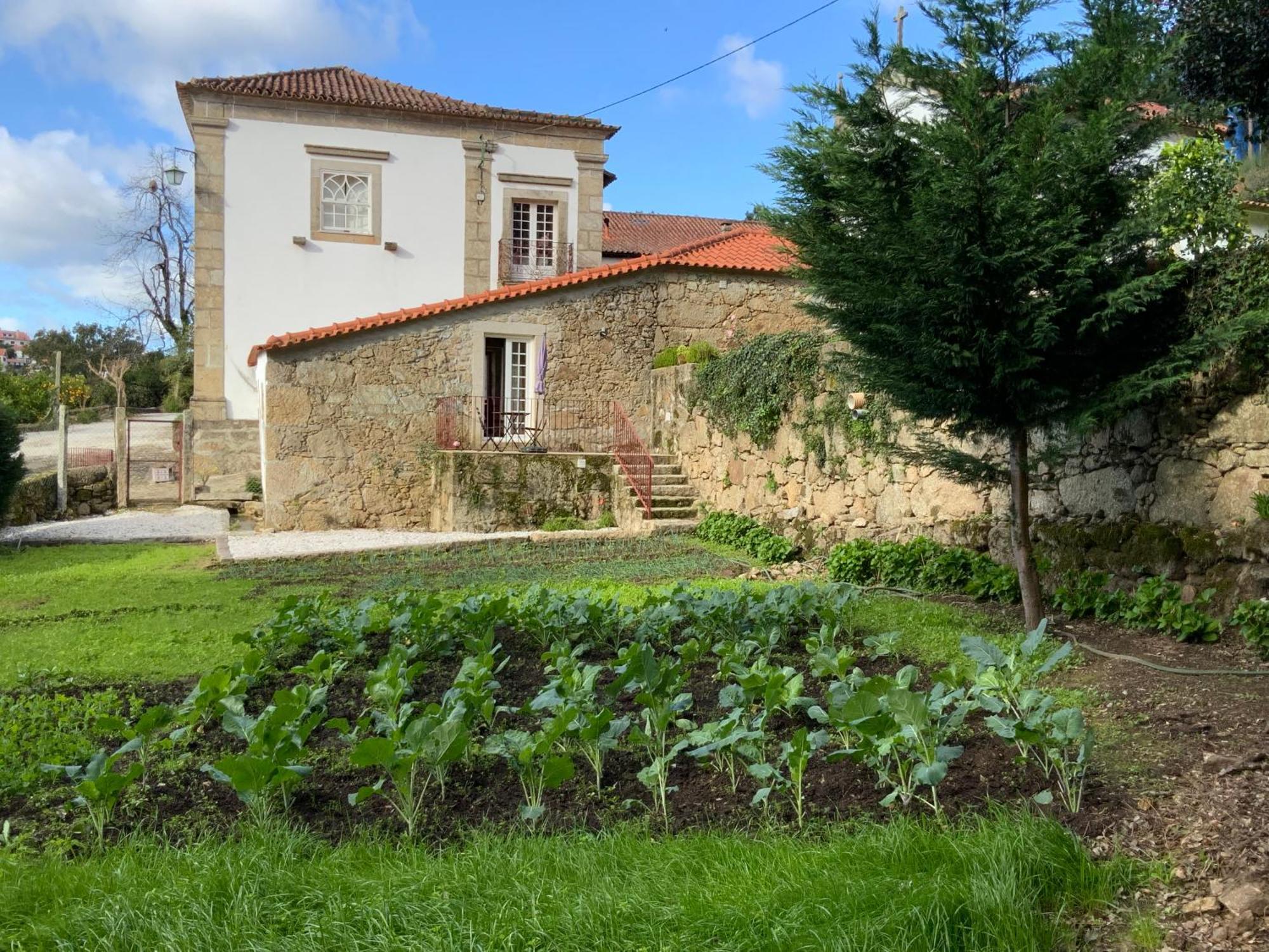 Quinta Do Bravio Villa Barroselas Bagian luar foto